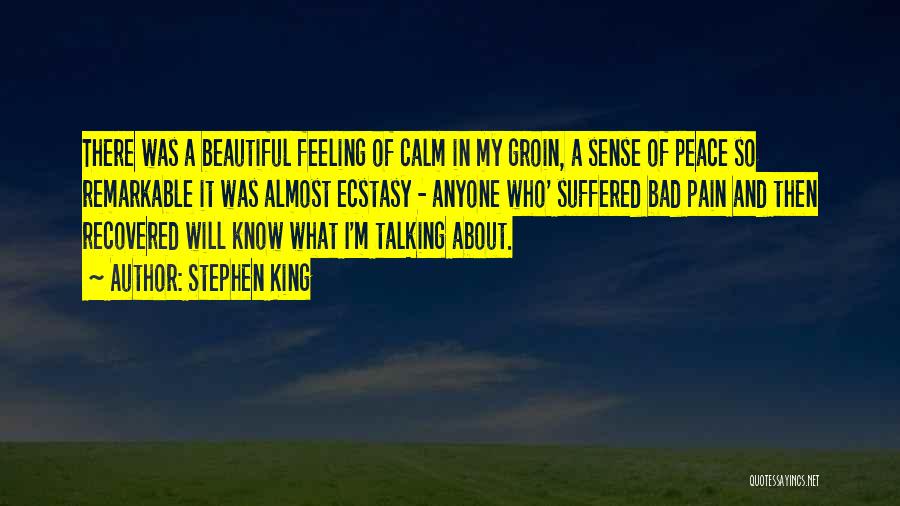 Stephen King Quotes: There Was A Beautiful Feeling Of Calm In My Groin, A Sense Of Peace So Remarkable It Was Almost Ecstasy