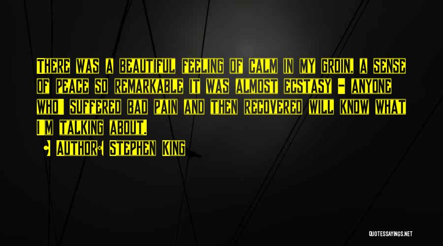 Stephen King Quotes: There Was A Beautiful Feeling Of Calm In My Groin, A Sense Of Peace So Remarkable It Was Almost Ecstasy