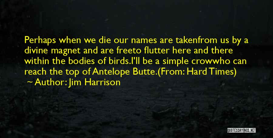 Jim Harrison Quotes: Perhaps When We Die Our Names Are Takenfrom Us By A Divine Magnet And Are Freeto Flutter Here And There