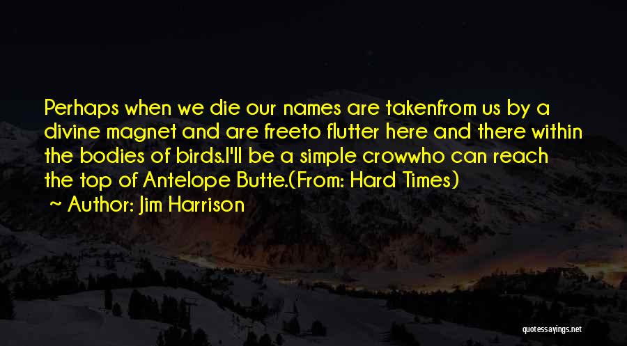 Jim Harrison Quotes: Perhaps When We Die Our Names Are Takenfrom Us By A Divine Magnet And Are Freeto Flutter Here And There