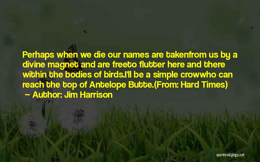Jim Harrison Quotes: Perhaps When We Die Our Names Are Takenfrom Us By A Divine Magnet And Are Freeto Flutter Here And There