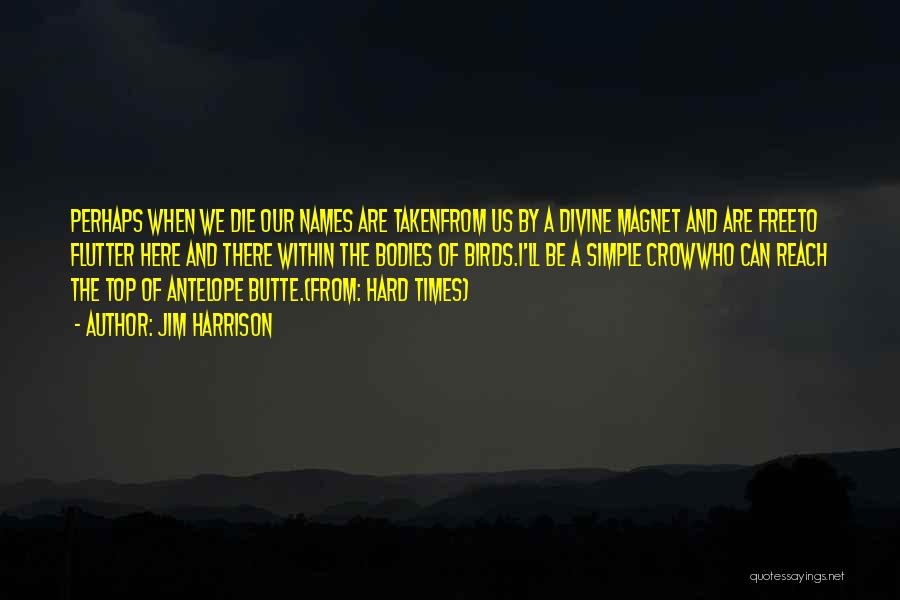 Jim Harrison Quotes: Perhaps When We Die Our Names Are Takenfrom Us By A Divine Magnet And Are Freeto Flutter Here And There
