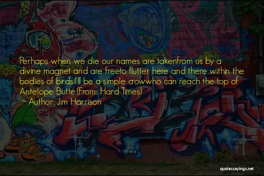 Jim Harrison Quotes: Perhaps When We Die Our Names Are Takenfrom Us By A Divine Magnet And Are Freeto Flutter Here And There