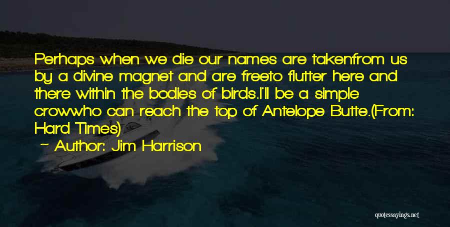 Jim Harrison Quotes: Perhaps When We Die Our Names Are Takenfrom Us By A Divine Magnet And Are Freeto Flutter Here And There