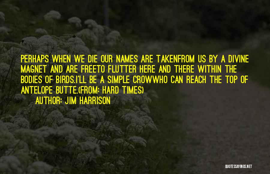 Jim Harrison Quotes: Perhaps When We Die Our Names Are Takenfrom Us By A Divine Magnet And Are Freeto Flutter Here And There