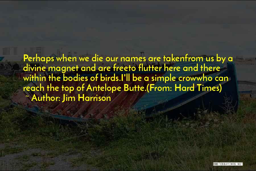 Jim Harrison Quotes: Perhaps When We Die Our Names Are Takenfrom Us By A Divine Magnet And Are Freeto Flutter Here And There