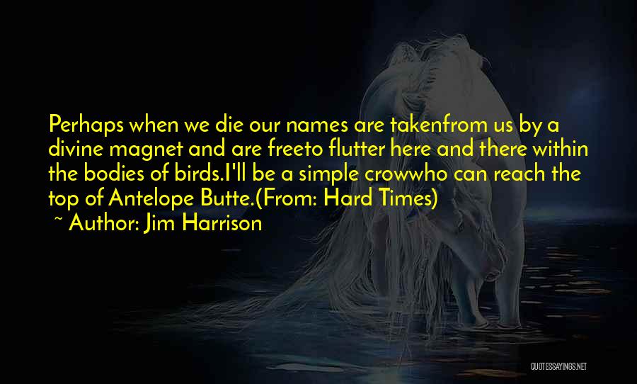 Jim Harrison Quotes: Perhaps When We Die Our Names Are Takenfrom Us By A Divine Magnet And Are Freeto Flutter Here And There
