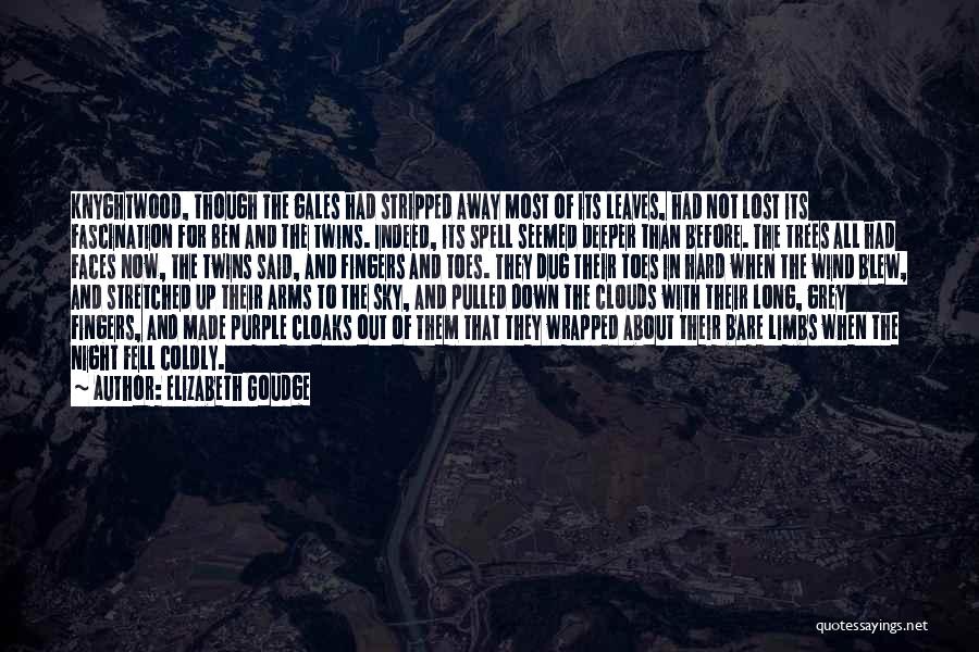 Elizabeth Goudge Quotes: Knyghtwood, Though The Gales Had Stripped Away Most Of Its Leaves, Had Not Lost Its Fascination For Ben And The