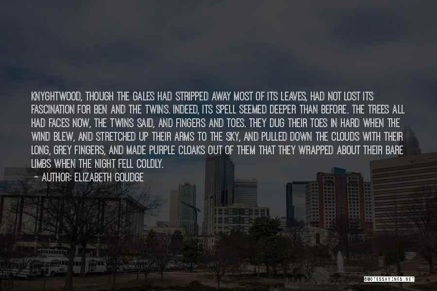 Elizabeth Goudge Quotes: Knyghtwood, Though The Gales Had Stripped Away Most Of Its Leaves, Had Not Lost Its Fascination For Ben And The