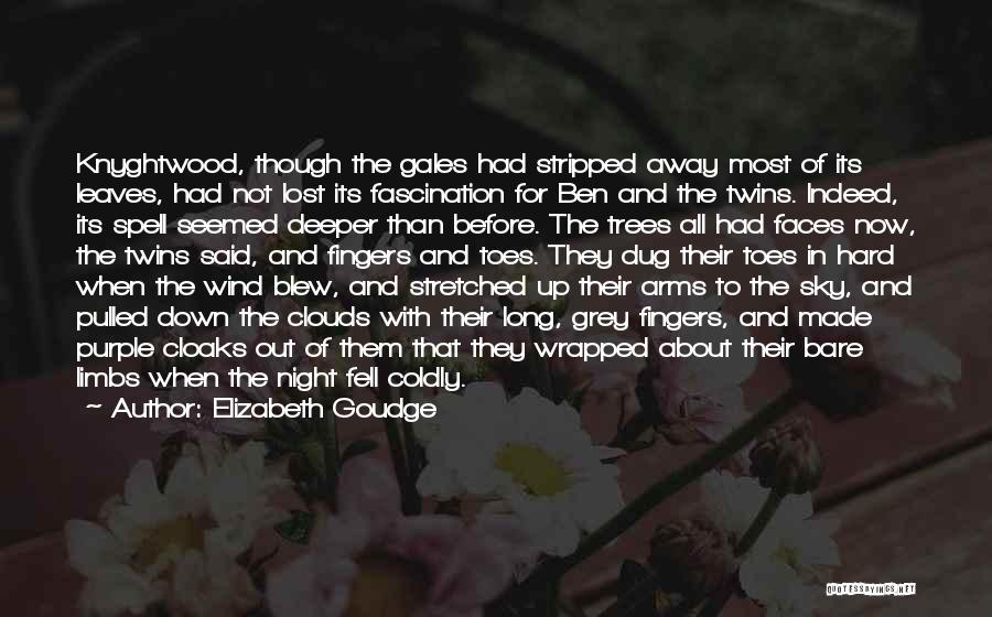 Elizabeth Goudge Quotes: Knyghtwood, Though The Gales Had Stripped Away Most Of Its Leaves, Had Not Lost Its Fascination For Ben And The