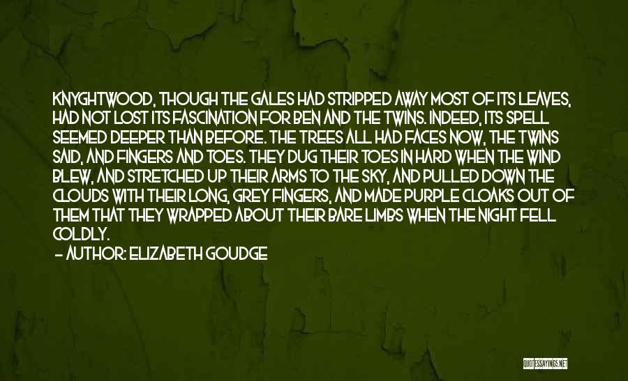 Elizabeth Goudge Quotes: Knyghtwood, Though The Gales Had Stripped Away Most Of Its Leaves, Had Not Lost Its Fascination For Ben And The