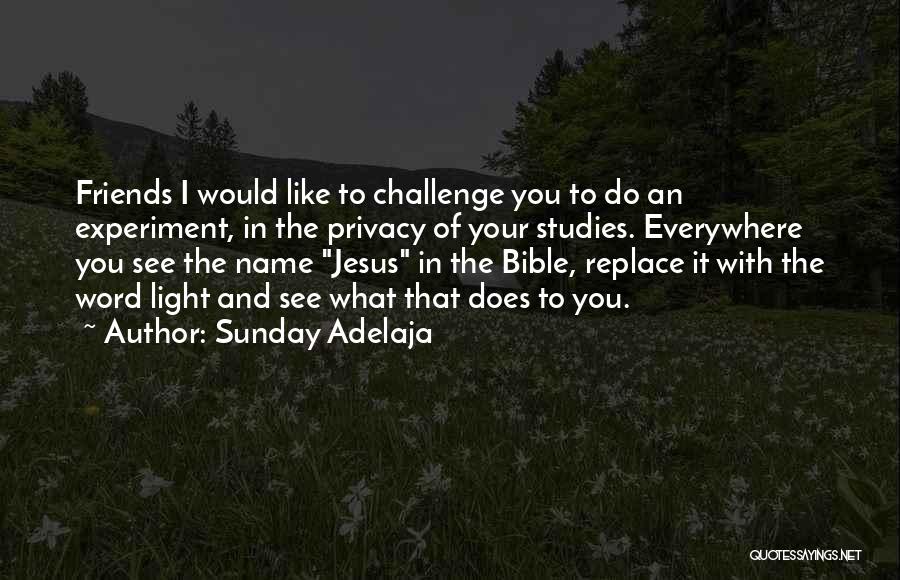 Sunday Adelaja Quotes: Friends I Would Like To Challenge You To Do An Experiment, In The Privacy Of Your Studies. Everywhere You See