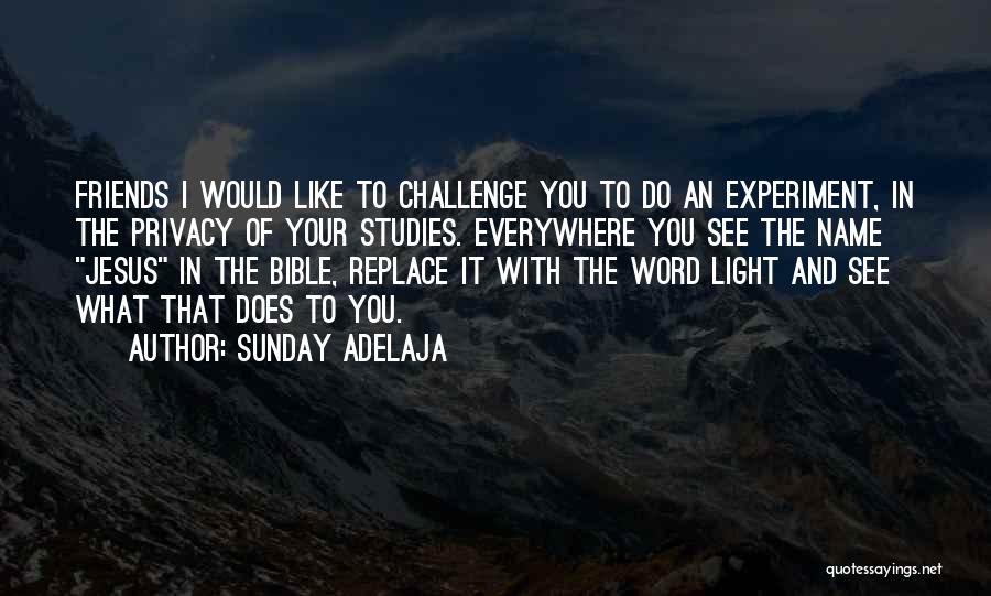 Sunday Adelaja Quotes: Friends I Would Like To Challenge You To Do An Experiment, In The Privacy Of Your Studies. Everywhere You See