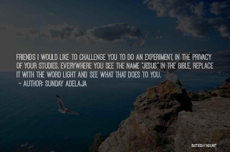 Sunday Adelaja Quotes: Friends I Would Like To Challenge You To Do An Experiment, In The Privacy Of Your Studies. Everywhere You See