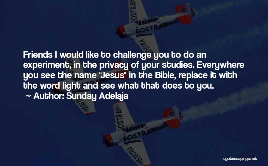 Sunday Adelaja Quotes: Friends I Would Like To Challenge You To Do An Experiment, In The Privacy Of Your Studies. Everywhere You See