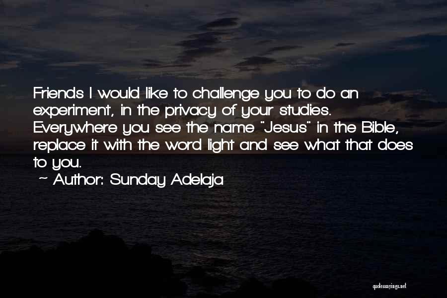 Sunday Adelaja Quotes: Friends I Would Like To Challenge You To Do An Experiment, In The Privacy Of Your Studies. Everywhere You See