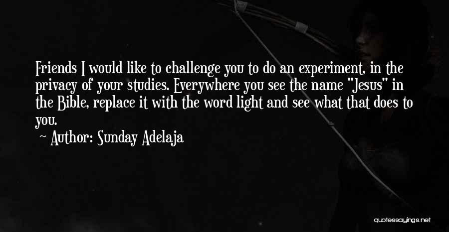 Sunday Adelaja Quotes: Friends I Would Like To Challenge You To Do An Experiment, In The Privacy Of Your Studies. Everywhere You See