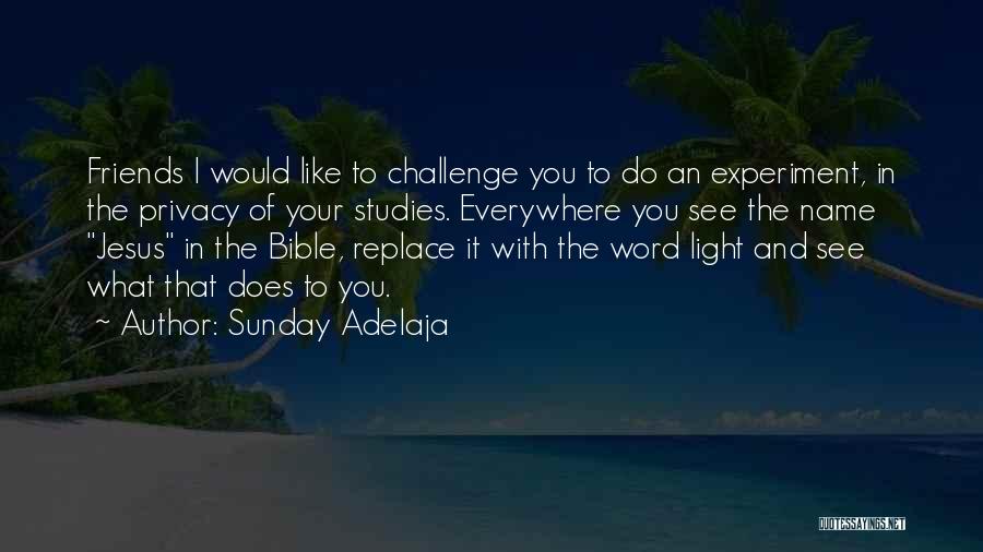 Sunday Adelaja Quotes: Friends I Would Like To Challenge You To Do An Experiment, In The Privacy Of Your Studies. Everywhere You See