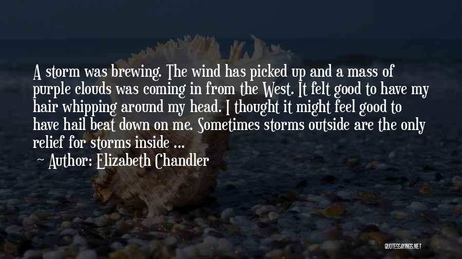 Elizabeth Chandler Quotes: A Storm Was Brewing. The Wind Has Picked Up And A Mass Of Purple Clouds Was Coming In From The