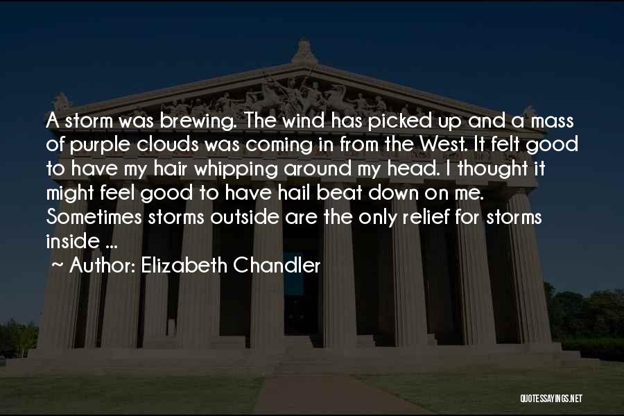 Elizabeth Chandler Quotes: A Storm Was Brewing. The Wind Has Picked Up And A Mass Of Purple Clouds Was Coming In From The