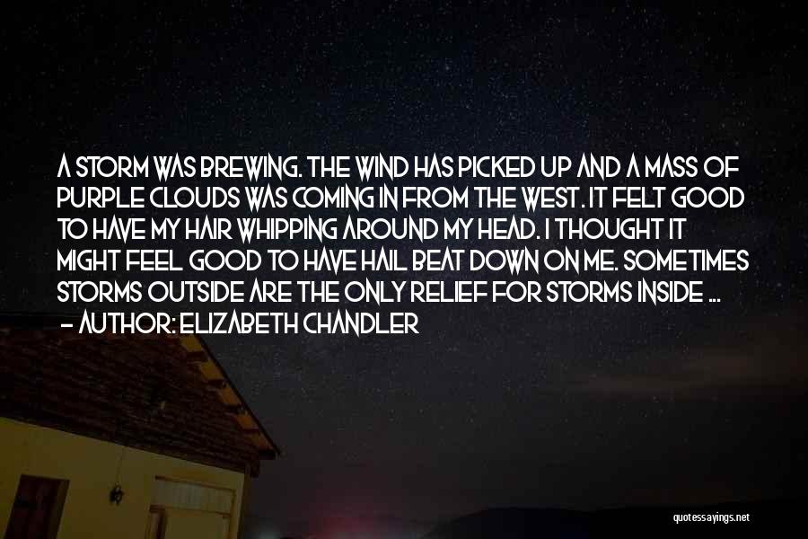 Elizabeth Chandler Quotes: A Storm Was Brewing. The Wind Has Picked Up And A Mass Of Purple Clouds Was Coming In From The