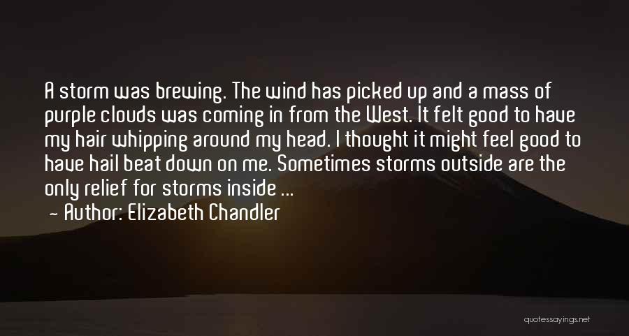 Elizabeth Chandler Quotes: A Storm Was Brewing. The Wind Has Picked Up And A Mass Of Purple Clouds Was Coming In From The