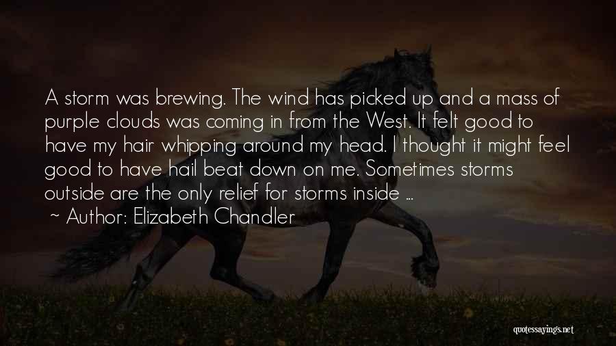 Elizabeth Chandler Quotes: A Storm Was Brewing. The Wind Has Picked Up And A Mass Of Purple Clouds Was Coming In From The