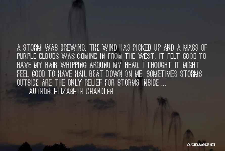 Elizabeth Chandler Quotes: A Storm Was Brewing. The Wind Has Picked Up And A Mass Of Purple Clouds Was Coming In From The