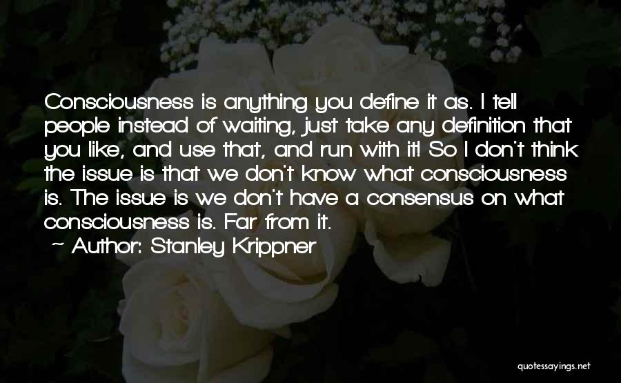 Stanley Krippner Quotes: Consciousness Is Anything You Define It As. I Tell People Instead Of Waiting, Just Take Any Definition That You Like,