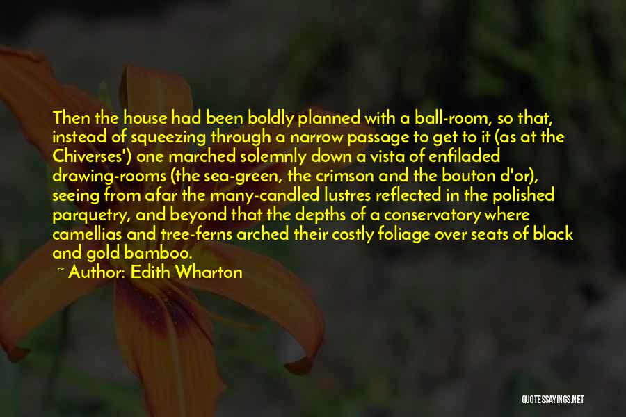 Edith Wharton Quotes: Then The House Had Been Boldly Planned With A Ball-room, So That, Instead Of Squeezing Through A Narrow Passage To