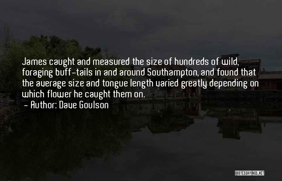 Dave Goulson Quotes: James Caught And Measured The Size Of Hundreds Of Wild, Foraging Buff-tails In And Around Southampton, And Found That The