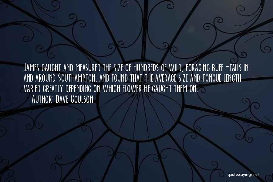 Dave Goulson Quotes: James Caught And Measured The Size Of Hundreds Of Wild, Foraging Buff-tails In And Around Southampton, And Found That The