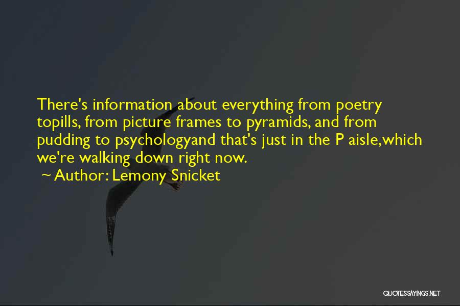 Lemony Snicket Quotes: There's Information About Everything From Poetry Topills, From Picture Frames To Pyramids, And From Pudding To Psychologyand That's Just In