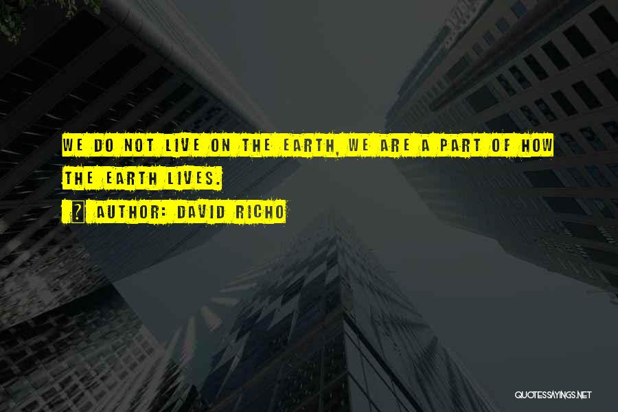 David Richo Quotes: We Do Not Live On The Earth, We Are A Part Of How The Earth Lives.