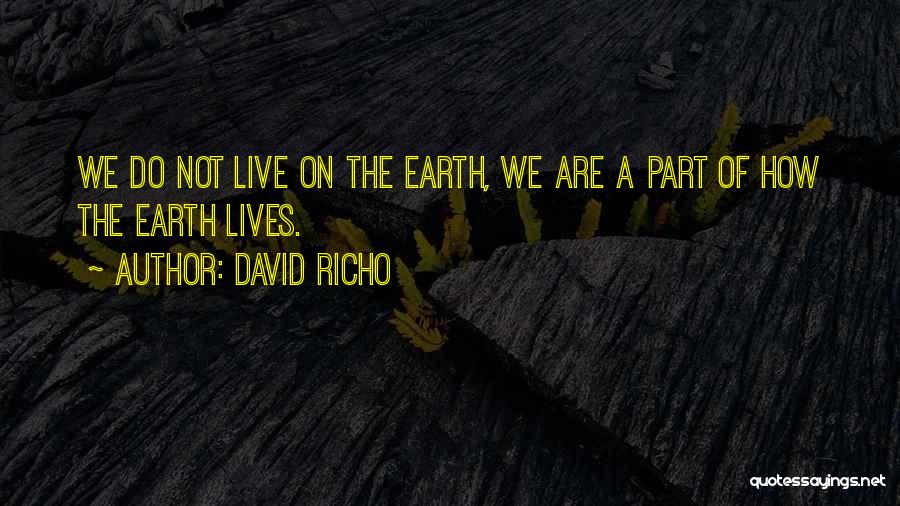 David Richo Quotes: We Do Not Live On The Earth, We Are A Part Of How The Earth Lives.