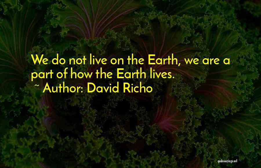 David Richo Quotes: We Do Not Live On The Earth, We Are A Part Of How The Earth Lives.