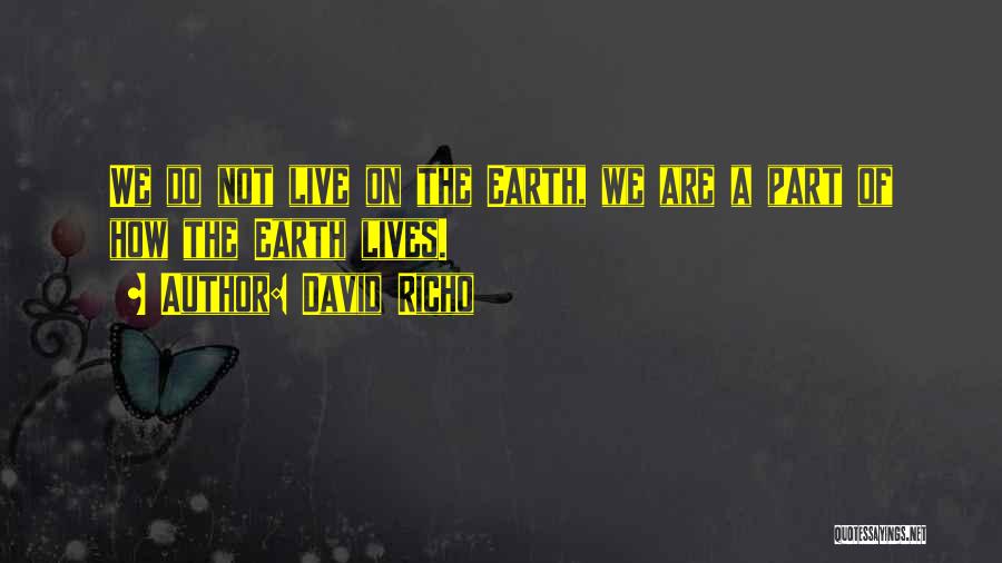 David Richo Quotes: We Do Not Live On The Earth, We Are A Part Of How The Earth Lives.