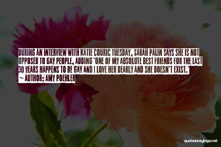 Amy Poehler Quotes: During An Interview With Katie Couric Tuesday, Sarah Palin Says She Is Not Opposed To Gay People, Adding 'one Of