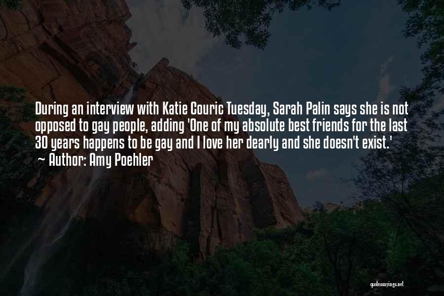 Amy Poehler Quotes: During An Interview With Katie Couric Tuesday, Sarah Palin Says She Is Not Opposed To Gay People, Adding 'one Of