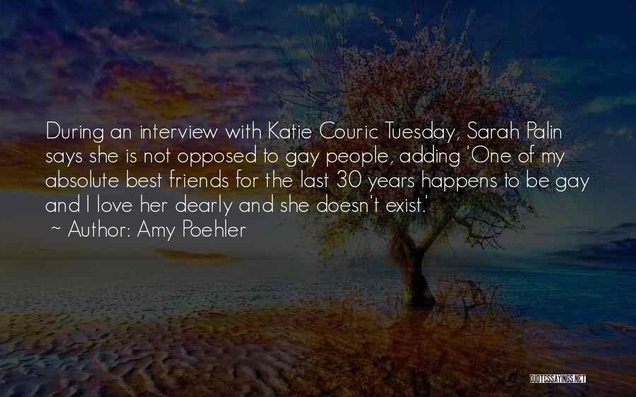 Amy Poehler Quotes: During An Interview With Katie Couric Tuesday, Sarah Palin Says She Is Not Opposed To Gay People, Adding 'one Of