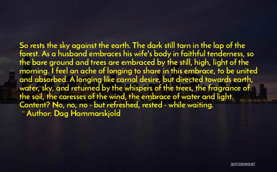 Dag Hammarskjold Quotes: So Rests The Sky Against The Earth. The Dark Still Tarn In The Lap Of The Forest. As A Husband