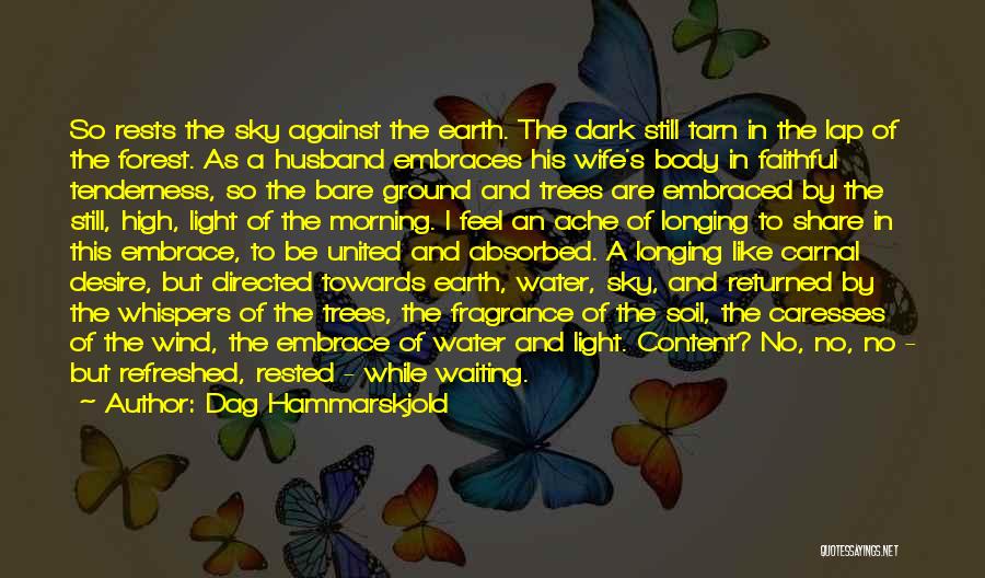 Dag Hammarskjold Quotes: So Rests The Sky Against The Earth. The Dark Still Tarn In The Lap Of The Forest. As A Husband