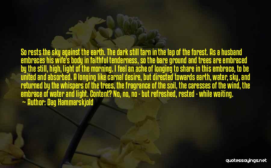 Dag Hammarskjold Quotes: So Rests The Sky Against The Earth. The Dark Still Tarn In The Lap Of The Forest. As A Husband