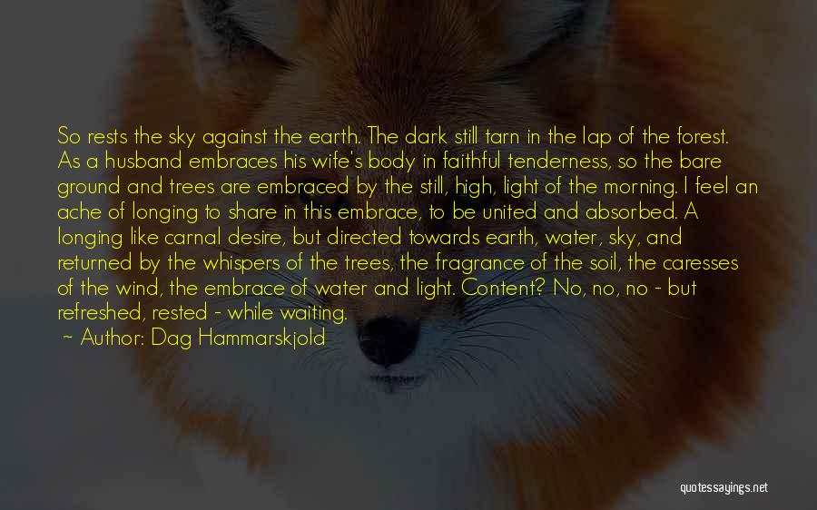 Dag Hammarskjold Quotes: So Rests The Sky Against The Earth. The Dark Still Tarn In The Lap Of The Forest. As A Husband