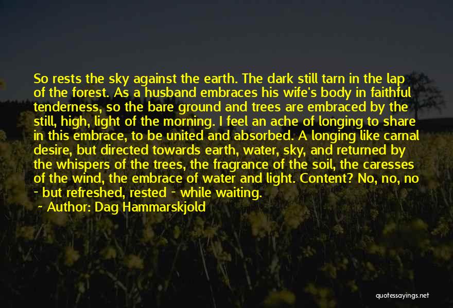 Dag Hammarskjold Quotes: So Rests The Sky Against The Earth. The Dark Still Tarn In The Lap Of The Forest. As A Husband