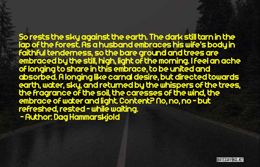 Dag Hammarskjold Quotes: So Rests The Sky Against The Earth. The Dark Still Tarn In The Lap Of The Forest. As A Husband