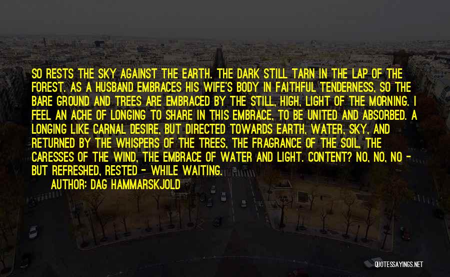 Dag Hammarskjold Quotes: So Rests The Sky Against The Earth. The Dark Still Tarn In The Lap Of The Forest. As A Husband