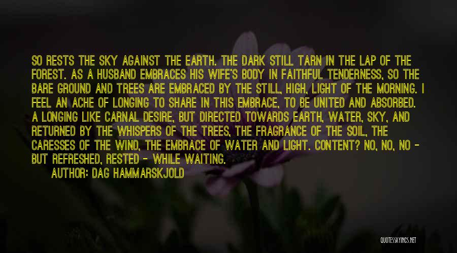 Dag Hammarskjold Quotes: So Rests The Sky Against The Earth. The Dark Still Tarn In The Lap Of The Forest. As A Husband