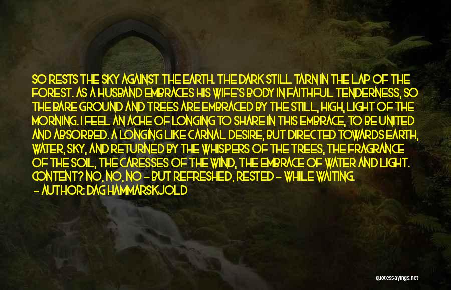 Dag Hammarskjold Quotes: So Rests The Sky Against The Earth. The Dark Still Tarn In The Lap Of The Forest. As A Husband