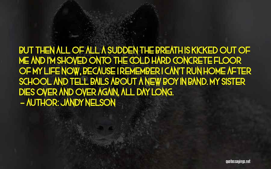 Jandy Nelson Quotes: But Then All Of All A Sudden The Breath Is Kicked Out Of Me And I'm Shoved Onto The Cold